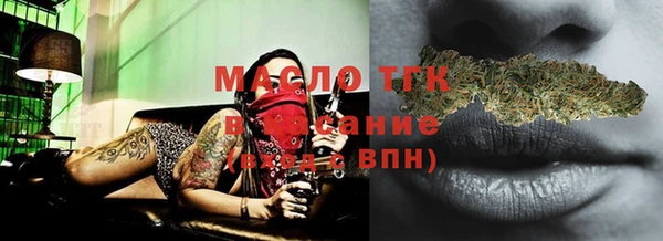 индика Заводоуковск