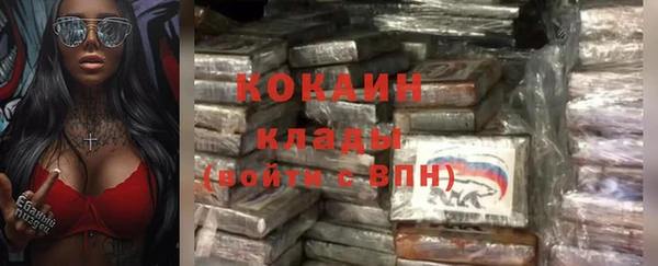 индика Заводоуковск