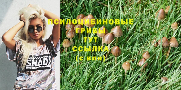 бутират Заволжье