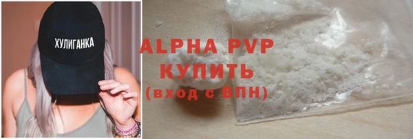 индика Заводоуковск