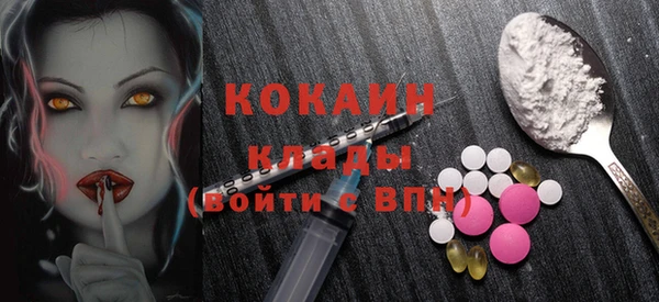 индика Заводоуковск