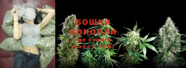 индика Заводоуковск
