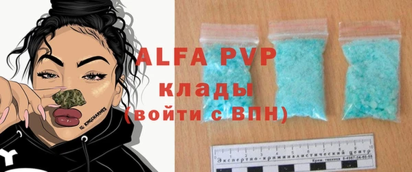 индика Заводоуковск