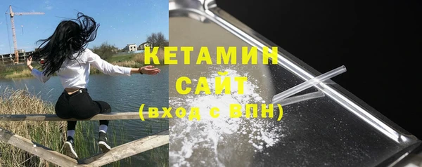 индика Заводоуковск