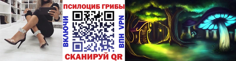 Галлюциногенные грибы мицелий  наркота  Майкоп 